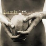 lamb