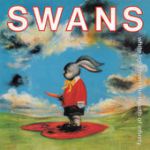 swans